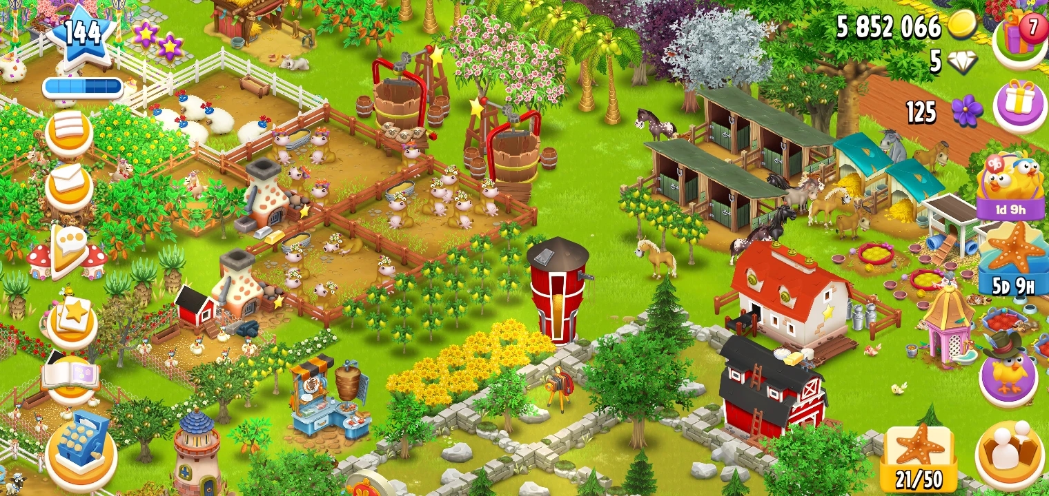 More images